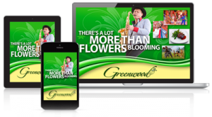 increase web traffic