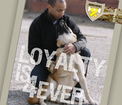 Fort Lauderdale Advertising Agency